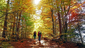 Walking Club